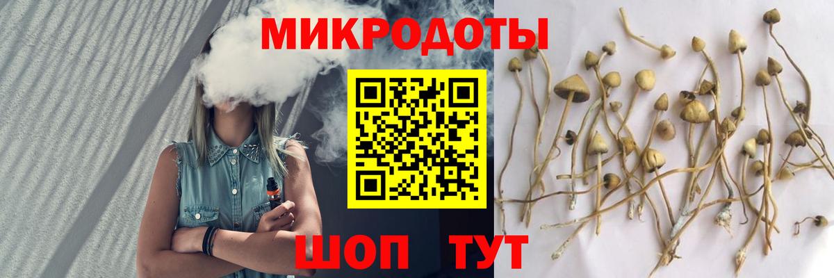 Галлюциногенные грибы мухоморы Североморск